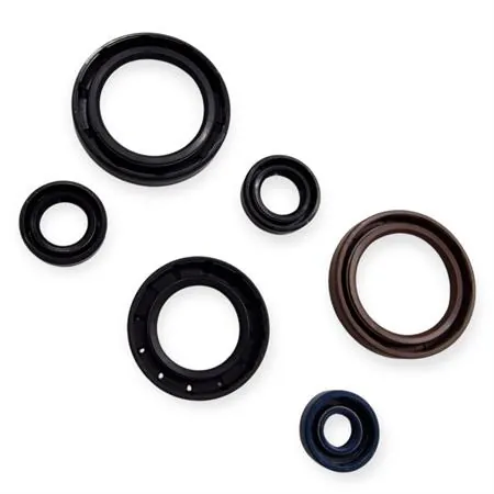 P400270400012 Serie paraolio motore specifico per KTM GS e MX 125 prodotti dal 1984 fino al 1986 con type motore 501