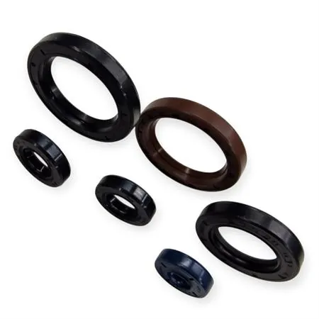 P400270400012 Serie paraolio motore specifico per KTM GS e MX 125 prodotti dal 1984 fino al 1986 con type motore 501