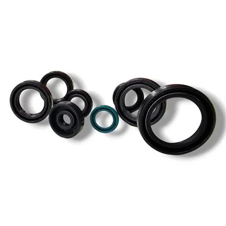 Serie paraoli motore TM Racing SMR/EN 125 Fi 2020-2024, EN 125 2015-2021, MX 125 2015-2024, EN/MX 144 2019-2024, ricambio P400465400002