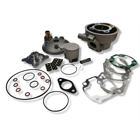 Motore gruppo termico athena Racing monofascia testa scomposta a liquido con spinotto diametro 10 mm, ricambio P400485100043