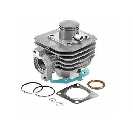 Motore gruppo termico cilindro tnt kit peugeot  ludix  v, ricambio 030315