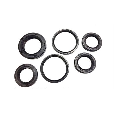 Serie paraolio motore Kymco 125 4 tempi, ricambio 070900C