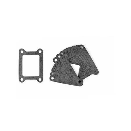 Guarnizione pacco lamellare Derbi TNT, ricambio 076610A