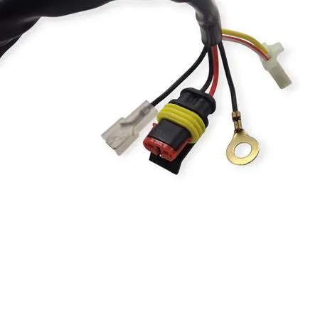 180310S Statore accensione per BETA ENDURO/MOTARD RR 50 2T 2005-2014 | OEM BETA 28.97810.000