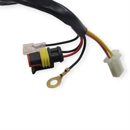 180310S Statore accensione per BETA ENDURO/MOTARD RR 50 2T 2005-2014 | OEM BETA 28.97810.000