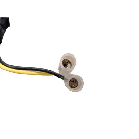 Coppia resistenze per frecce a led leds, ricambio 206175