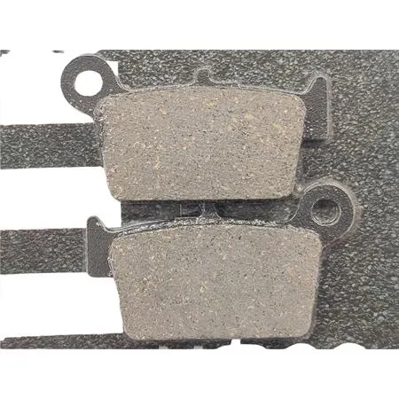 976SM1 Pastiglie freno Braking per enduro 50, 125 e 200 cc Beta con mescola semi metallica per uso sportivo e non uso racing