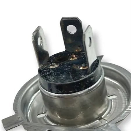 E03641931 Lampadina Bergamaschi 12 Volt 60/55 Watt H4 P43T