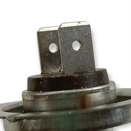 Lampadina Bergamaschi 12 Volt 55 Watt H7 PX26D, ricambio E0364210