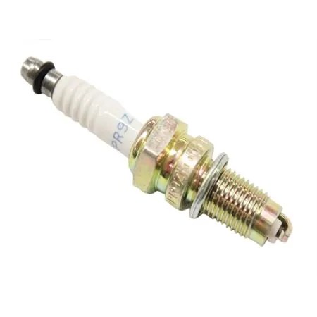 Candela NGK DPR9Z, ricambio N4461090