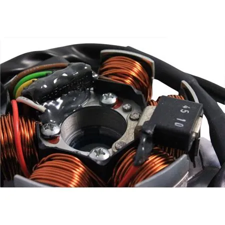 Statore Malaguti F10-F12 92-02 prima ser Bergamaschi, ricambio P631967900