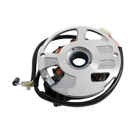 Statore Malaguti F10-F12 92-02 prima ser Bergamaschi, ricambio P631967900