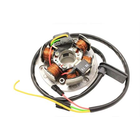 Statore motore minarell.am345-AM6 Aprilia r Bergamaschi, ricambio P631968490
