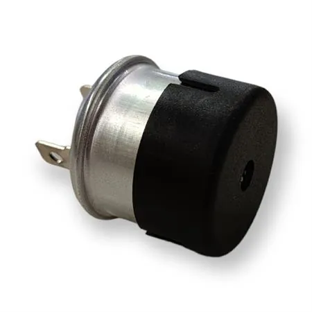V736100116 Intermittenza frecce 12 v (volt) Bergamaschi