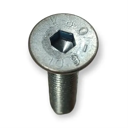 R42440051A0 Vite Benelli