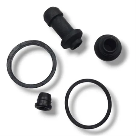 Kit revisione pinza freno posteriore per Beta Enduro/Motard RR 50 2t e 125 4t, Alp e Urban, ricambio 20.08272.000     