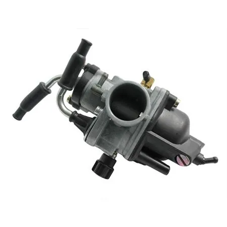 12231 Carburatore phvb22 (CIF)