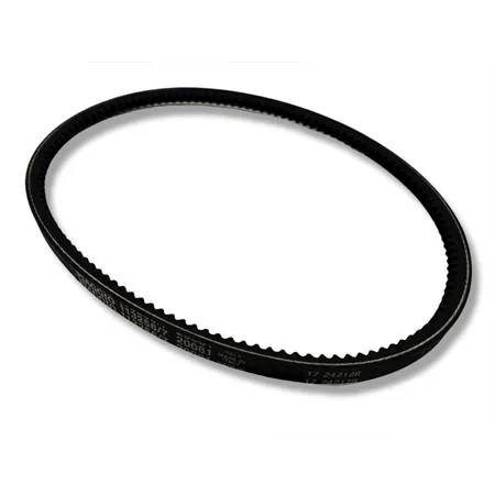 5350-PDL Cinghia liscia per Ape MP, Ape TM (CIF)