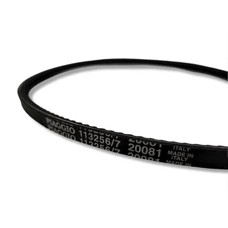 5350-PDL Cinghia liscia per Ape MP, Ape TM (CIF)