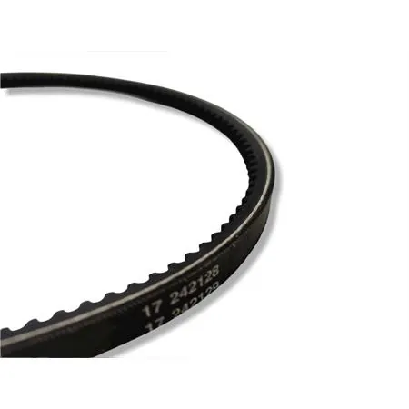 5350-PDL Cinghia liscia per Ape MP, Ape TM (CIF)
