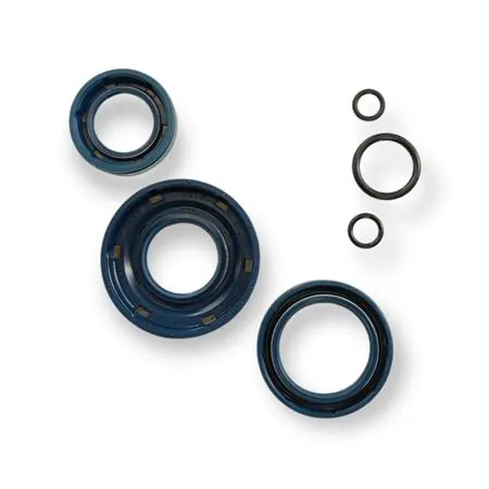 5697 Serie paraolio motore Ape 50 (CIF)