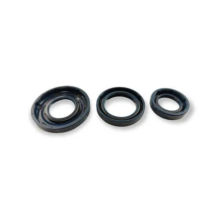 5697 Serie paraolio motore Ape 50 (CIF)