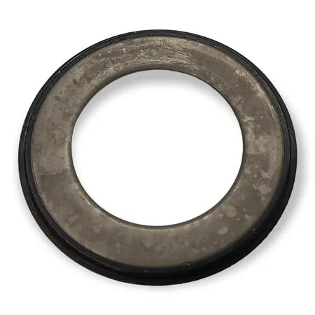 Anello parapolvere per serie calotta ste, ricambio 5917