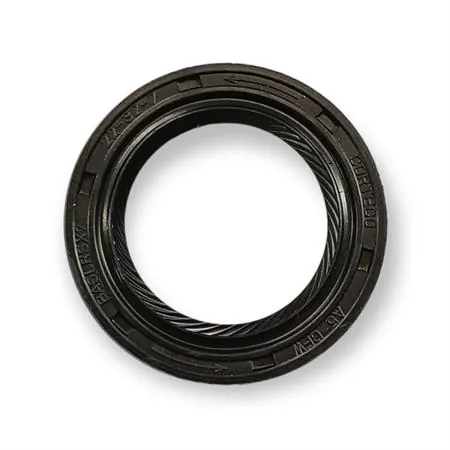 5919-AN Paraolio 22x32x7acm lato volano Piaggio (CIF)