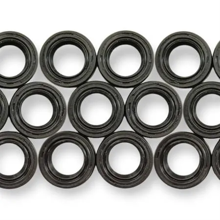 5929 Paraolio 15.6x25.5x7rp albero motore Peugeot (CIF)