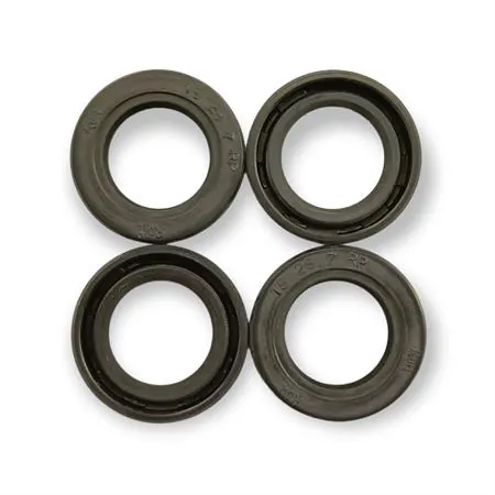 Paraolio 18x28x7rp lato volano Piaggio s (CIF), ricambio 5936