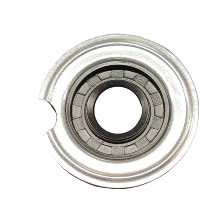 5947 Paraolio 20x40x6fg lato volano tacca rotonda (CIF)