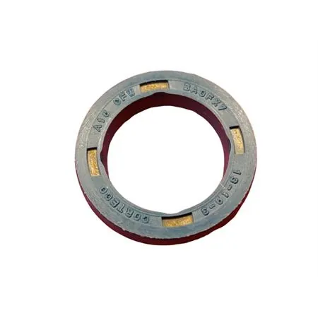 5954 Paraolio 13x19x3 ism x sr.paraoli motore (CIF)