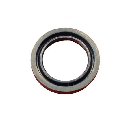 5954 Paraolio 13x19x3 ism x sr.paraoli motore (CIF)