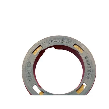 5954 Paraolio 13x19x3 ism x sr.paraoli motore (CIF)
