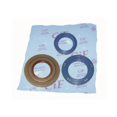 Serie paraoli motore v.pe 200 arc.(c-par.lato (CIF), ricambio 6649-V
