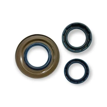 6652 Serie paraolio motore Vespa PX 125 t5 (CIF)