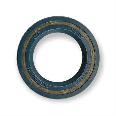 6652 Serie paraolio motore Vespa PX 125 t5 (CIF)