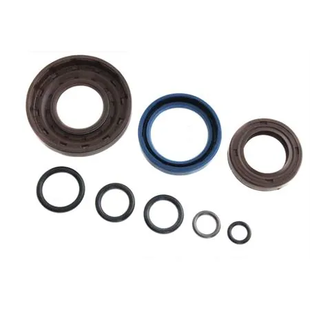 Serie paraolio motore Vespa PK 50 xl in viton x cono 20 (CIF)