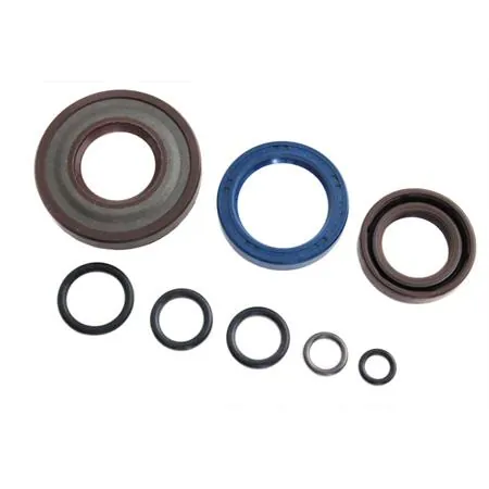 6653-V Serie paraolio motore Vespa PK 50 xl in viton x cono 20 (CIF)