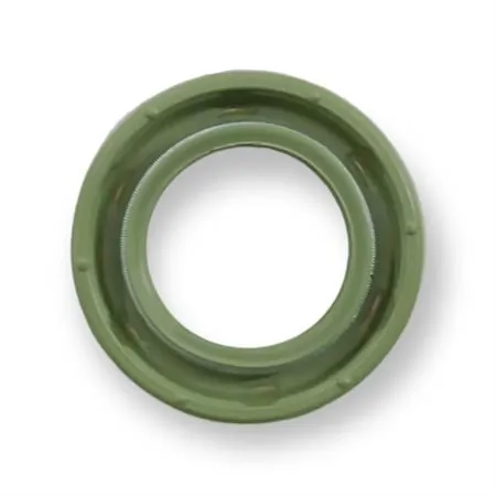 6659-V Serie paraolio motore in viton piaggio l