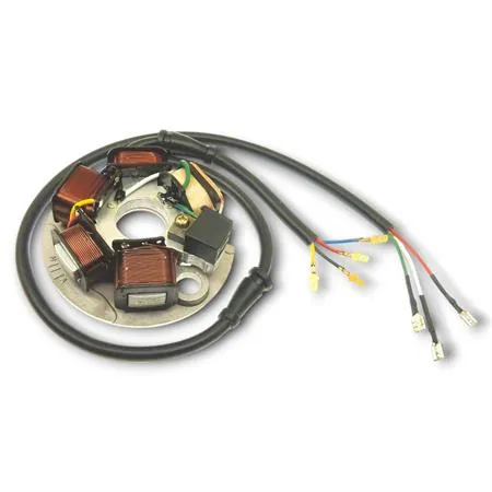 Statore elettronico completo CIF tipo originale per Piaggio Vespa 125 primavera ET3 prodotte 1976 al 1983 (prodotto non coperto dalla garanzia), ricambio 9166-E1