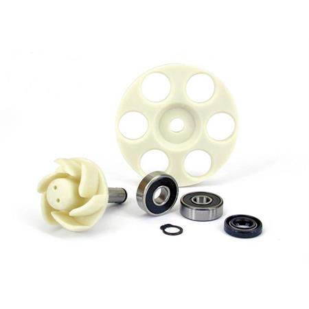 Kit revisione pompa acqua (One Italia), ricambio 77093610