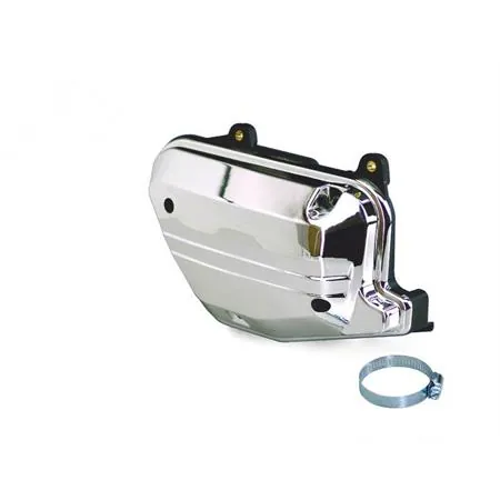 Scatola filtro argento cromato Booster (One Italia), ricambio 77114049