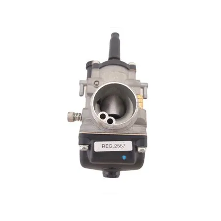 02557 carburatore Phbg 21 as