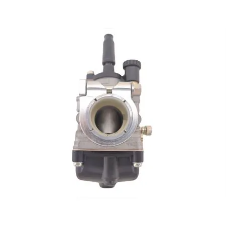 02557 carburatore Phbg 21 as