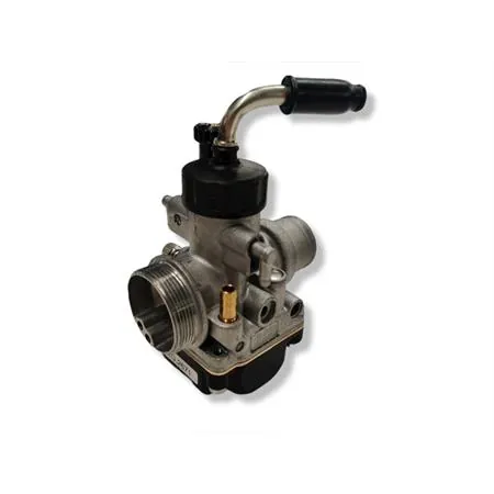 02671 carburatore Phbg21 bs standard 