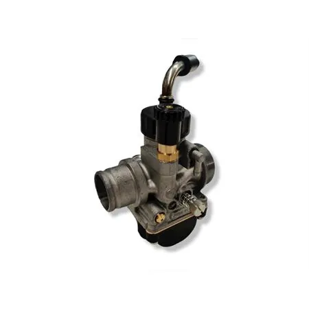 02671 carburatore Phbg21 bs standard 