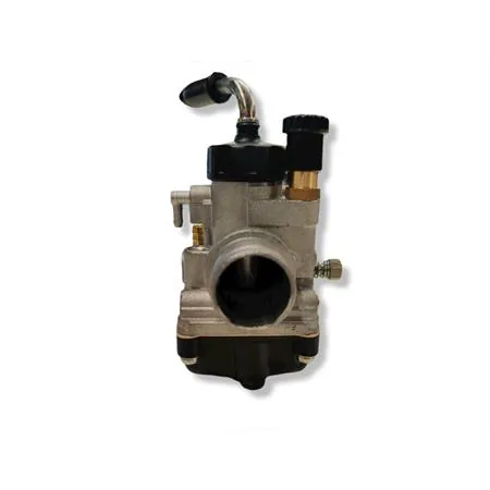 02671 carburatore Phbg21 bs standard 