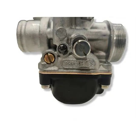 02671 carburatore Phbg21 bs standard 