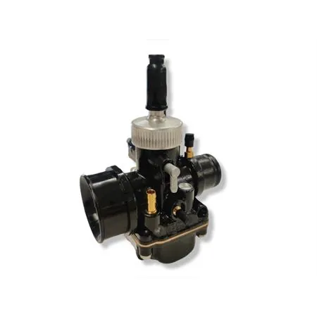 02696 Carburatore Phbg 21 ds